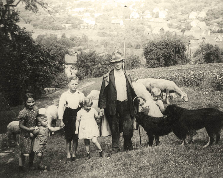 Schäfer Kornel Berberich